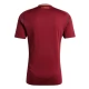 AS Roma Thuisshirt 2024-2025 Voetbaltenue