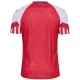 Denemarken Voetbaltenue 2023 Thuisshirt