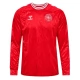 EK 2024 Denemarken Thuisshirt L/S Voetbaltenue