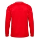 EK 2024 Denemarken Thuisshirt L/S Voetbaltenue