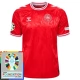 EK 2024 Denemarken Thuisshirt Voetbaltenue Patch