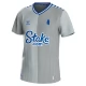 Everton Voetbaltenue 2023-2024 Third Shirt