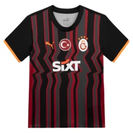 Galatasaray SK Third Shirt 2024-2025 Voetbaltenue