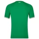 Ierland Voetbaltenue 2023 Thuisshirt