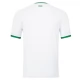 Ierland Voetbaltenue 2023 Uitshirt