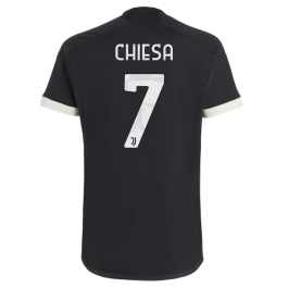 Juventus Voetbaltenue Chiesa 7 2023-2024 Third Shirt