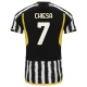Juventus Voetbaltenue Chiesa 7 2023-2024 Thuisshirt