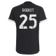 Juventus Voetbaltenue Rabiot 25 2023-2024 Third Shirt