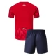 Lille OSC Thuisshirt Kids 2025-2026 Voetbaltenue