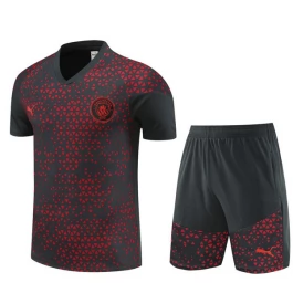 Manchester City Trainingsshirt Pakken 2023-24 - Grijs