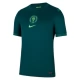 Nigeria Thuisshirt 2025-2026 Voetbaltenue
