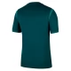 Nigeria Thuisshirt 2025-2026 Voetbaltenue
