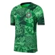 Nigeria Voetbaltenue 2022 Thuisshirt
