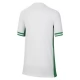 Nigeria Voetbaltenue 2024 Thuisshirt