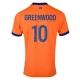 Olympique de Marseille Greenwood 10 Third Shirt 2024-2025 Voetbaltenue