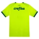 Palmeiras Voetbaltenue 2023-2024 Third Shirt