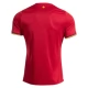 Roemenië Uitshirt 2025 Voetbaltenue