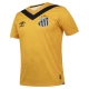 Santos FC Third Shirt 2024-2025 Voetbaltenue