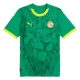 Senegal Uitshirt 2025 Voetbaltenue