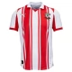 Southampton FC Thuisshirt 2025-2026 Voetbaltenue