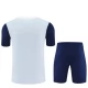 Tottenham Hotspur Trainingsshirtpak 2025-26 - Shorts Grijs