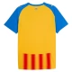 Valencia CF Third Shirt 2025-2026 Voetbaltenue