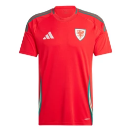 Wales Voetbaltenue 2024 Thuisshirt