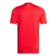 Wales Voetbaltenue 2024 Thuisshirt