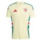 Wales Voetbaltenue 2024 Uitshirt