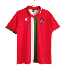 Wales Voetbaltenue Retro 1996-1998 Thuisshirt