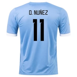 WK 2022 Uruguay Voetbaltenue D.Nunez 11 Thuisshirt