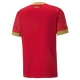 WK voetbal 2022 Servië Thuisshirt