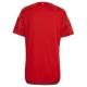 WK voetbal 2022 Wales Thuisshirt