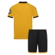 Wolverhampton Wanderers Thuisshirt Kids 2025-2026 Voetbaltenue